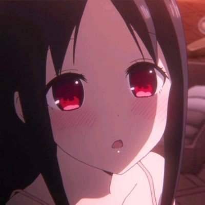 动物园公狼挖洞越狱